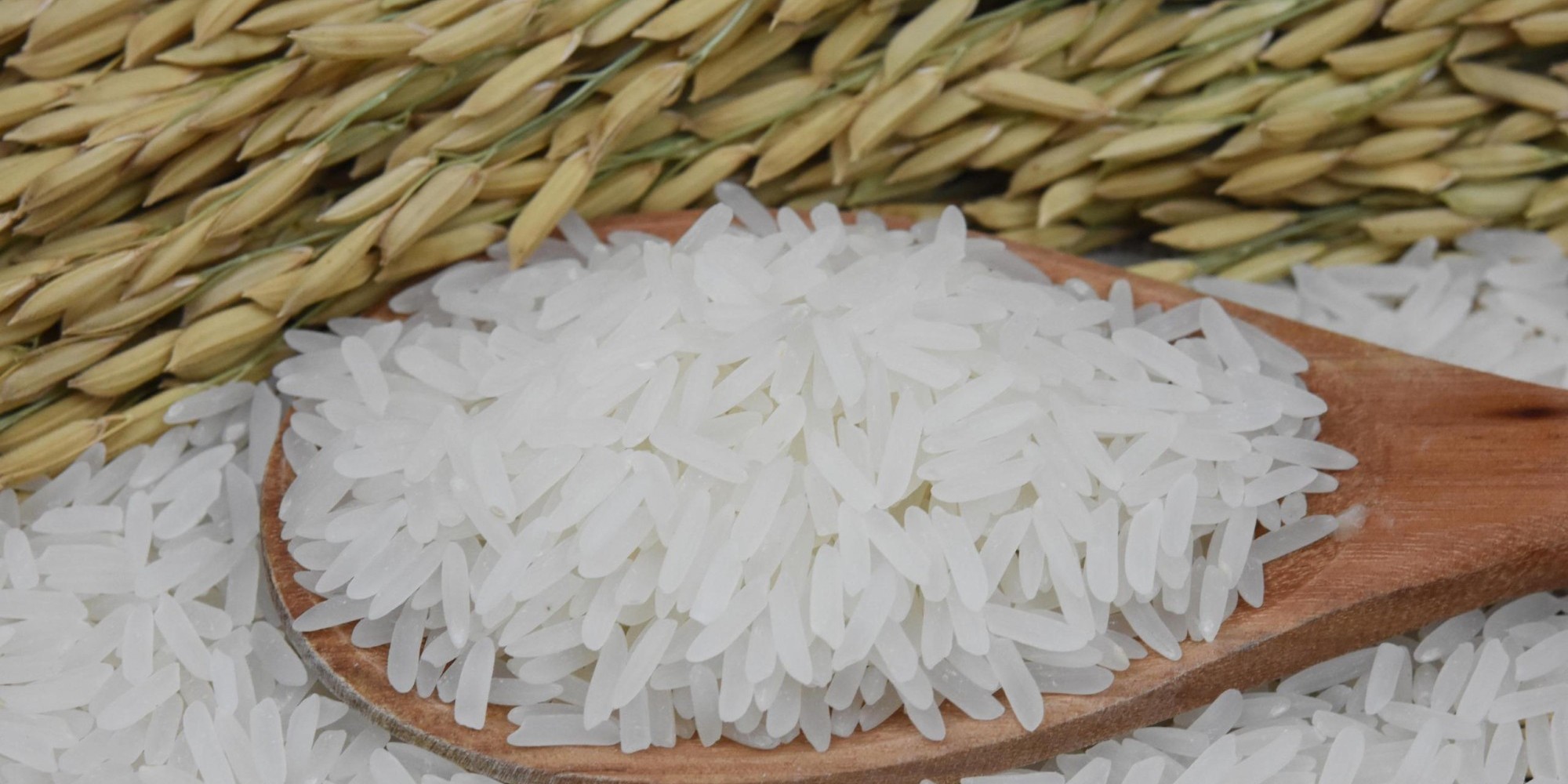 Conab realiza novos leilões de contrato de opção de venda de arroz nesta sexta