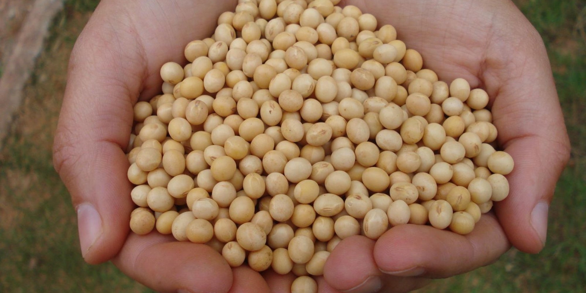 Estimativa aponta queda de 8,9% na produção gaúcha, puxada pela soja