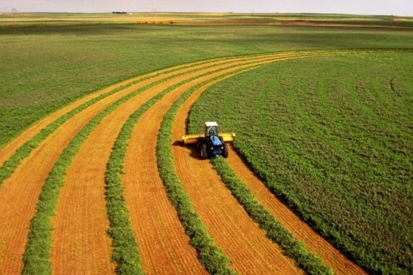 Exportações do agronegócio gaúcho atingem 3,7 bilhões de dólares no primeiro trimestre