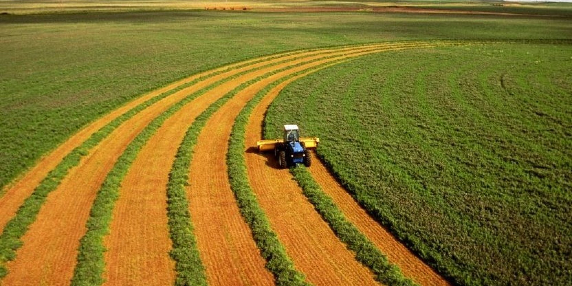Exportações do agronegócio gaúcho atingem 3,7 bilhões de dólares no primeiro trimestre