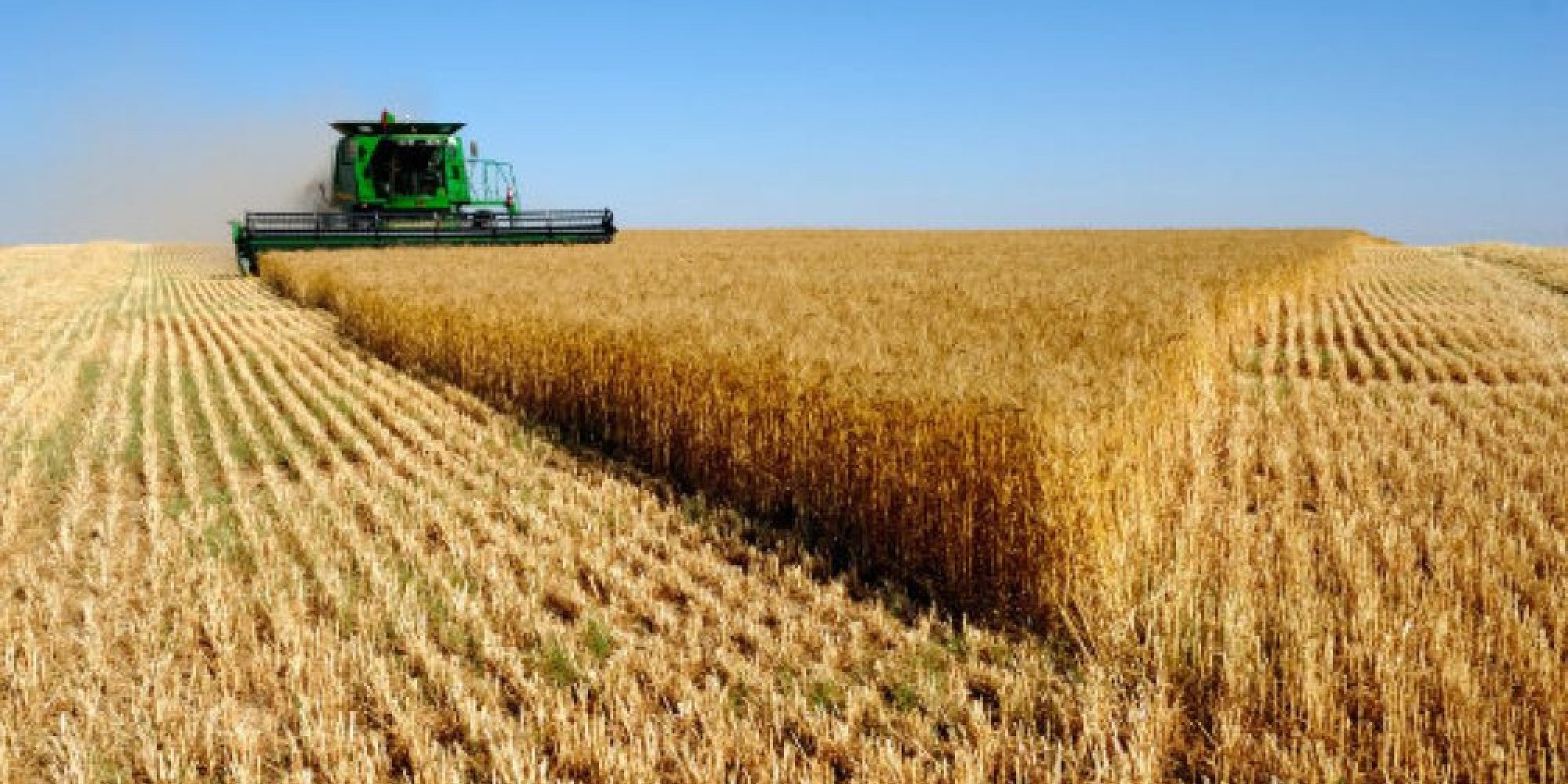 Devido a estiagem o impacto no rendimento da produção chega a 29,3% na soja Devido a estiagem o impacto no rendimento da produção chega a 29,3% na soja