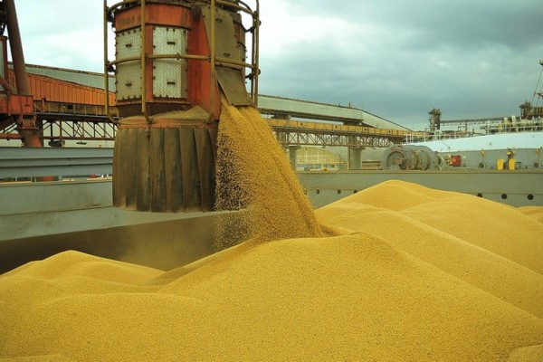 Valor representa uma elevação de 7,8%