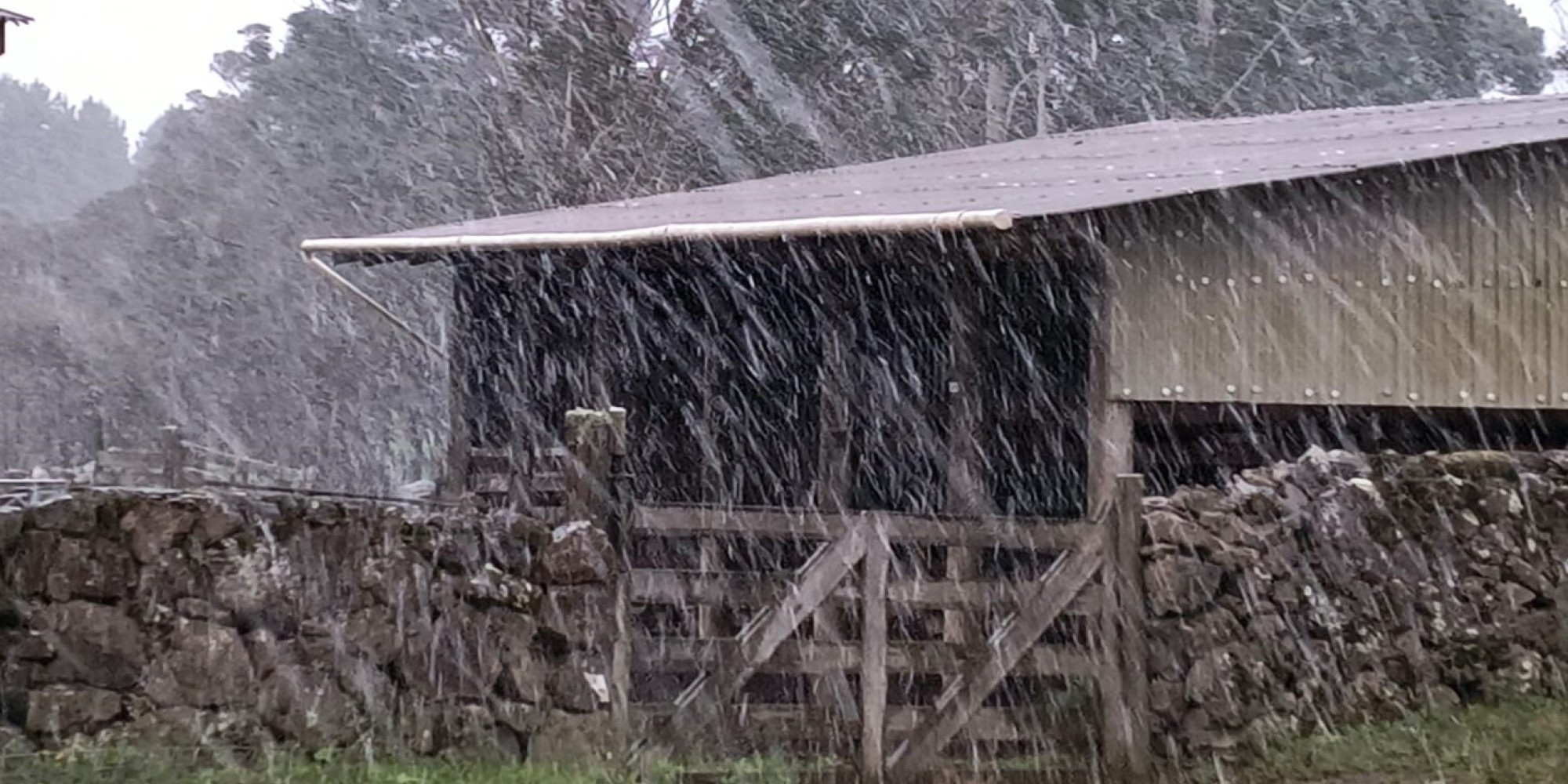 São José dos Ausentes, São Francisco de Paula e Bom Jesus registram primeiros flocos de 2025 com temperaturas próximas de 0°C