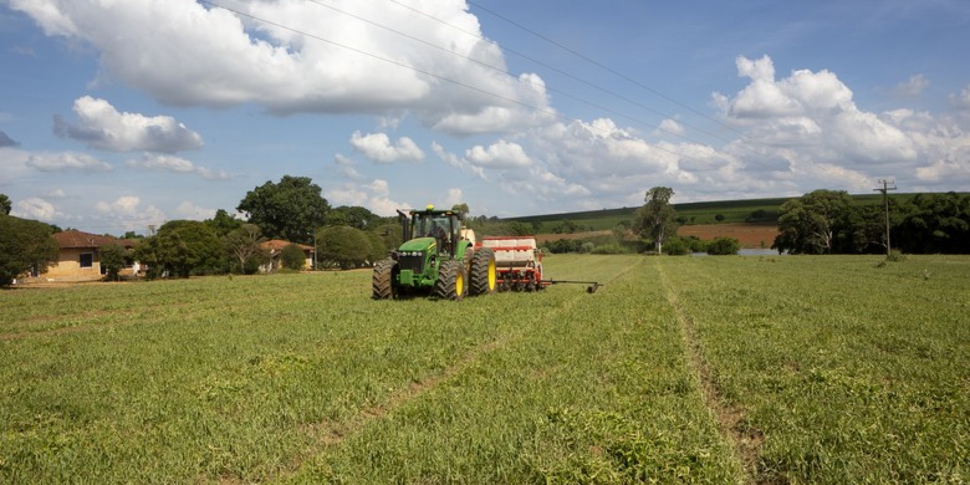 Dados foram divulgados pela Secretaria de Política Agrícola Dados foram divulgados pela Secretaria de Política Agrícola