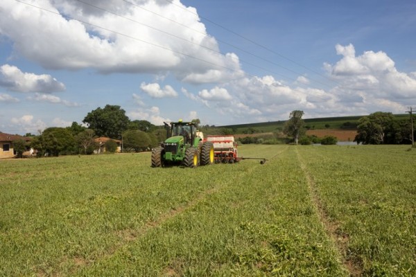 Dados foram divulgados pela Secretaria de Política Agrícola