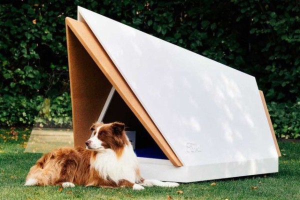 Ford projetou casinha de cachorro que isola o ruído de foguetes
