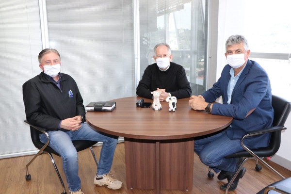  Piccinini, à direita, recebeu Stein e Schneider