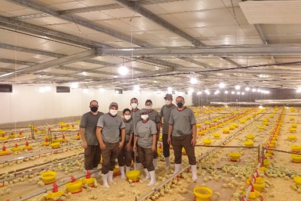 Técnicos Vanderlei Michelon e Diego Aguiar irão assessorar no funcionamento da granja