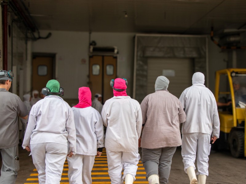 Iniciativa integra sistema de identifica&ccedil;&atilde;o por cores e refor&ccedil;a cuidados com colaboradoras gr&aacute;vidas.