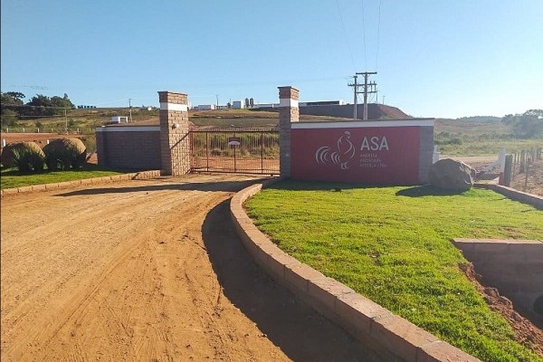  Empresa ASA conduzirá atividades do Matrizeiro que, conforme cronograma, deverá alojar aves em junho