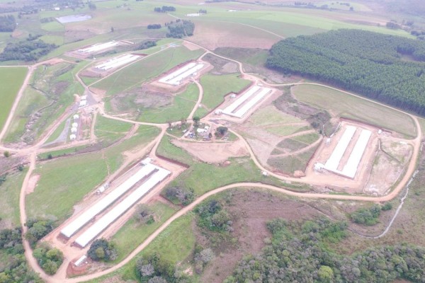 Vista aérea do Matrizeiro, cuja área possui 76 hectares