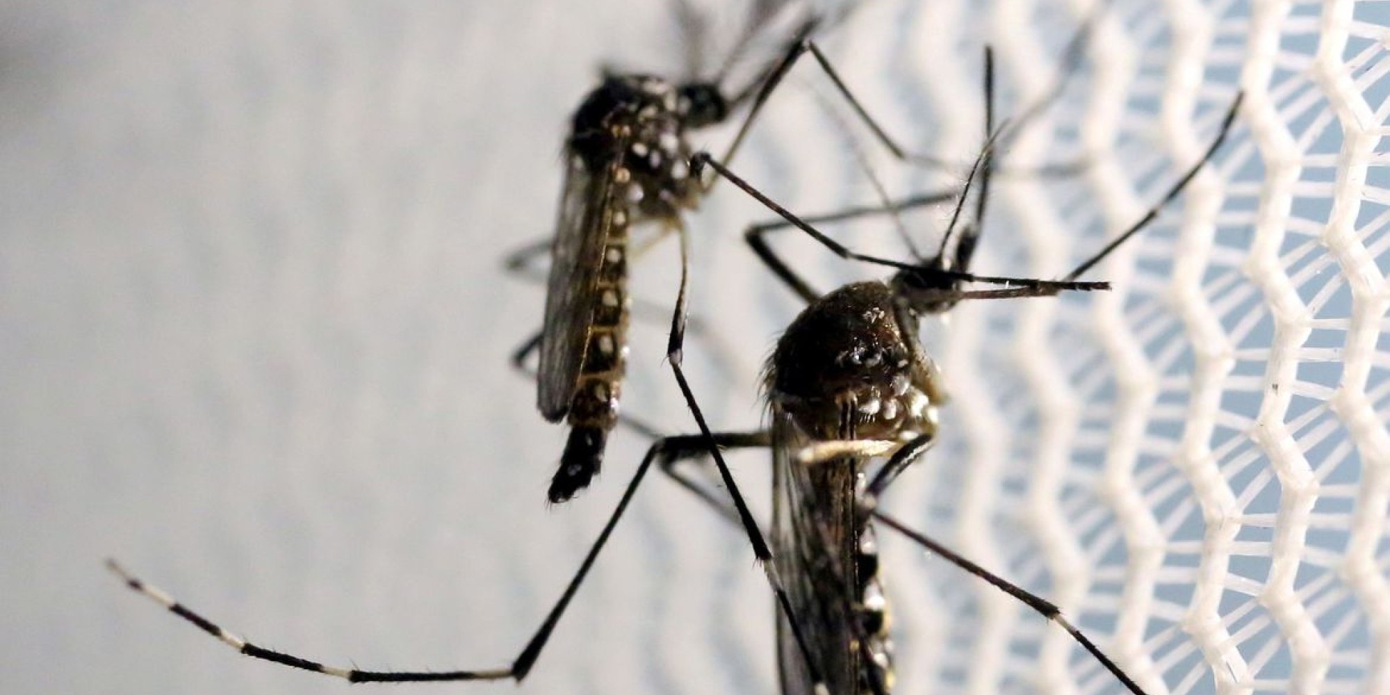Até abril, país registrou mais de 542 mil infecções prováveis Até abril, país registrou mais de 542 mil infecções prováveis