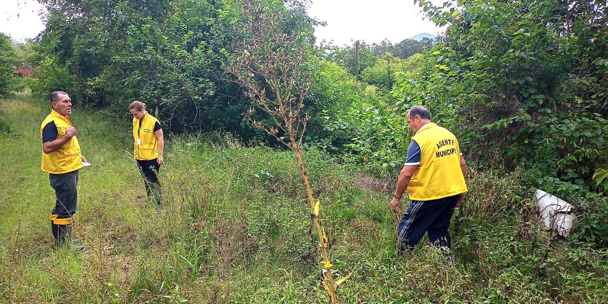 Agentes vistoriam terrenos abandonados Agentes vistoriam terrenos abandonados