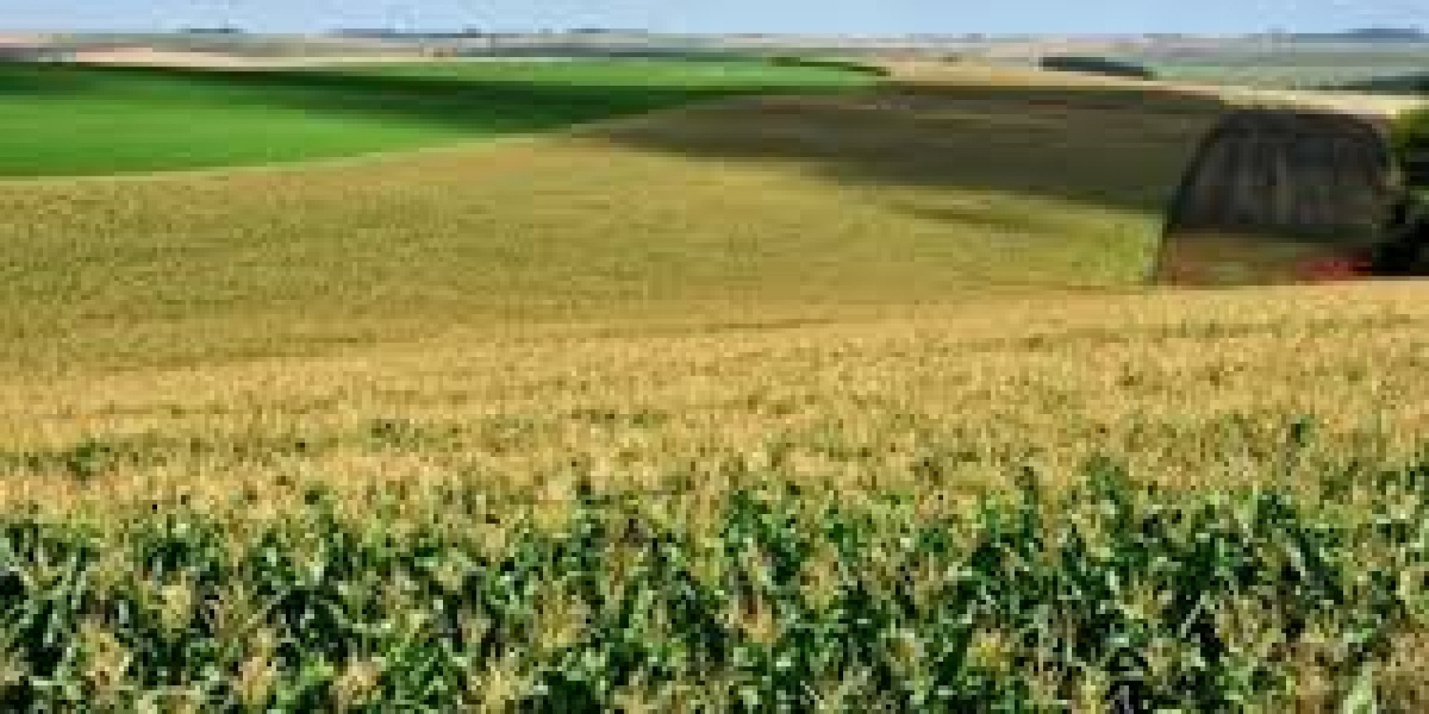  As medidas contemplam pauta elaborada pela secretaria em conjunto com entidades do agro gaúcho