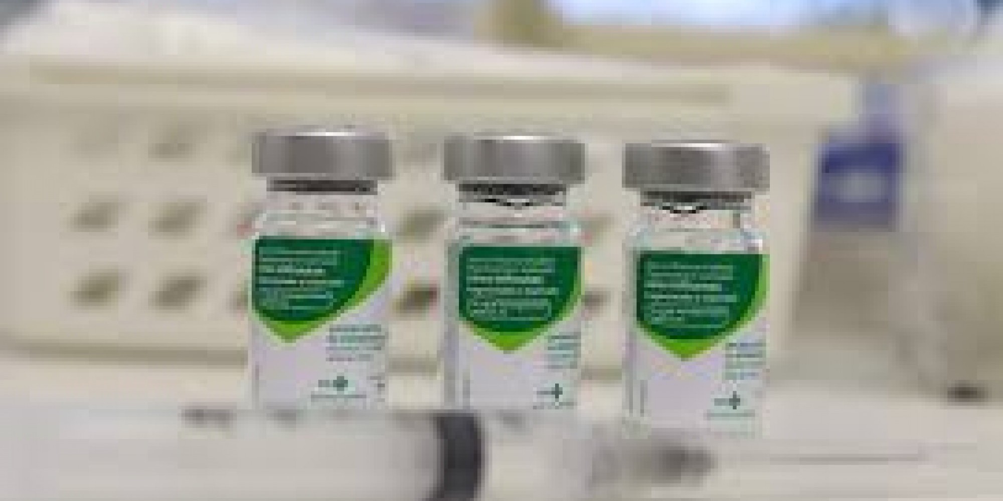 Até 29 de fevereiro, foram registrados 90 casos de influenza A (H1N1) e 6 óbitos no Brasil Até 29 de fevereiro, foram registrados 90 casos de influenza A (H1N1) e 6 óbitos no Brasil