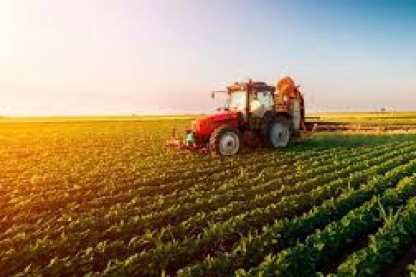 Prorrogação das dívidas de custeio e investimento de produtores rurais é uma das principais medidas 