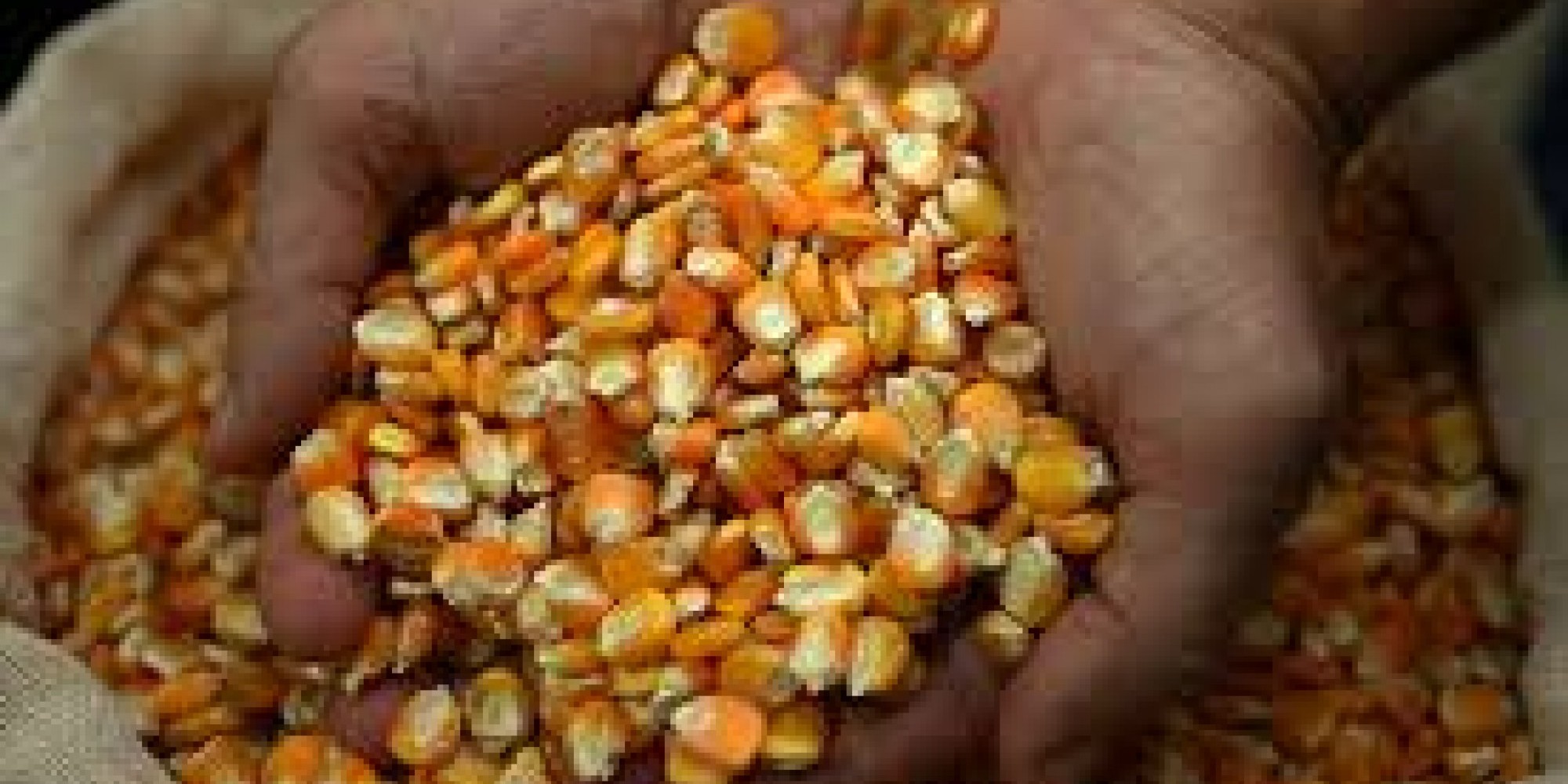 No ano passado, o programa beneficiou 49.950 produtores rurais de 391 municípios No ano passado, o programa beneficiou 49.950 produtores rurais de 391 municípios