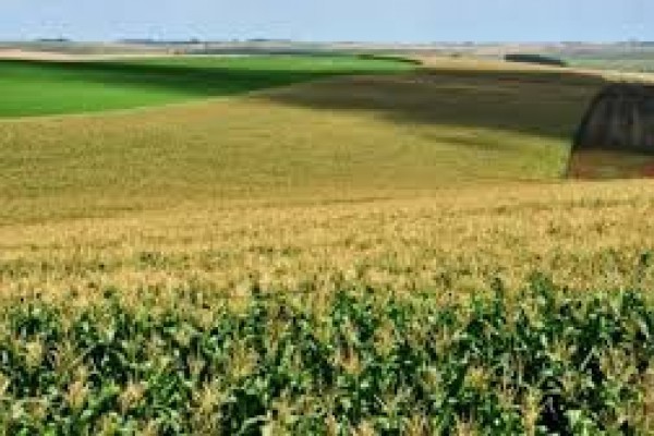  As medidas contemplam pauta elaborada pela secretaria em conjunto com entidades do agro gaúcho