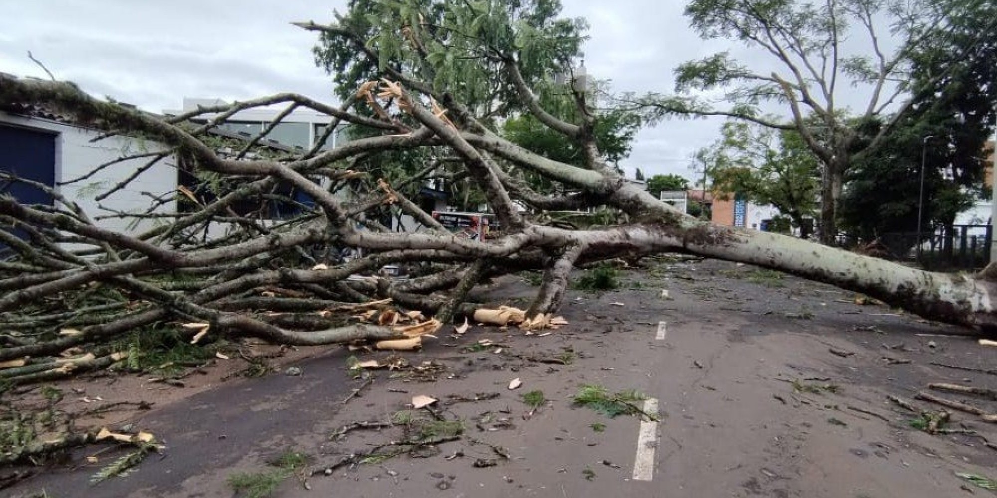 Até a manhã desta quarta-feira (17), 25 cidades já tinham comunicado à Defesa Civil estadual uma série de danos e ocorrências causadas pela chuva e fortes ventos. Até a manhã desta quarta-feira (17), 25 cidades já tinham comunicado à Defesa Civil estadual uma série de danos e ocorrências causadas pela chuva e fortes ventos.