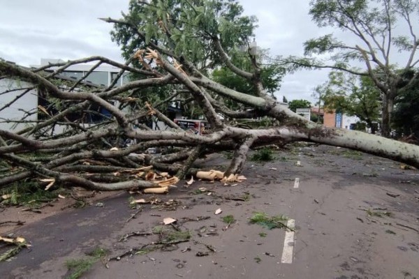 Até a manhã desta quarta-feira (17), 25 cidades já tinham comunicado à Defesa Civil estadual uma série de danos e ocorrências causadas pela chuva e fortes ventos.