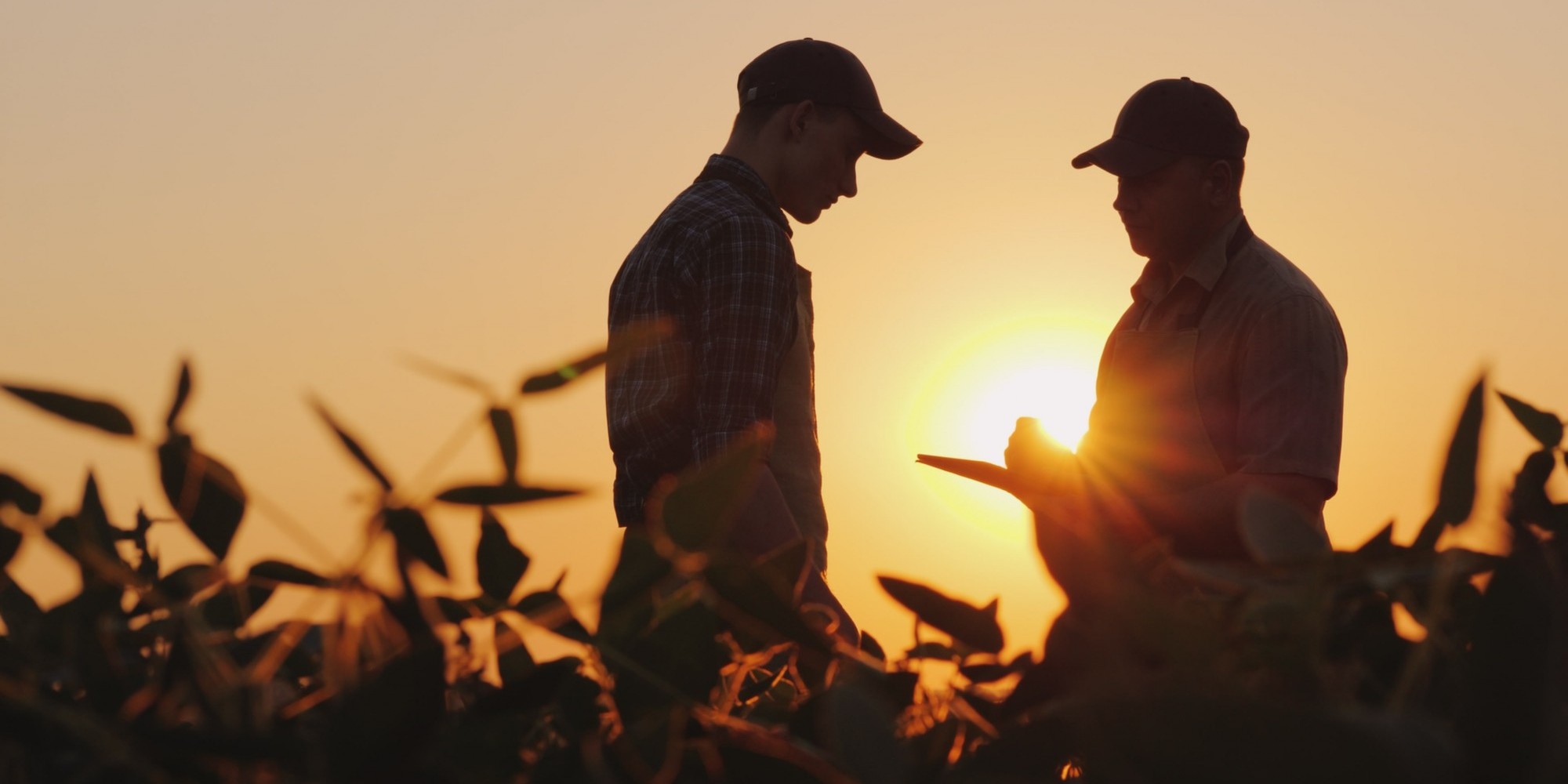 Campo tem tido dificuldades em reter profissionais jovens Campo tem tido dificuldades em reter profissionais jovens