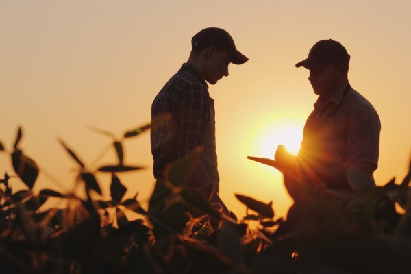 Campo tem tido dificuldades em reter profissionais jovens
