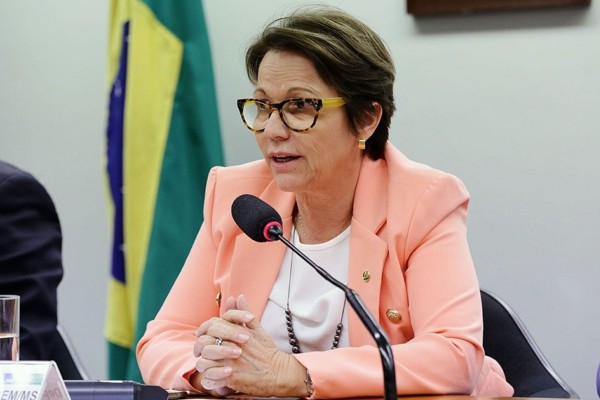 Ministra Tereza Cristina 