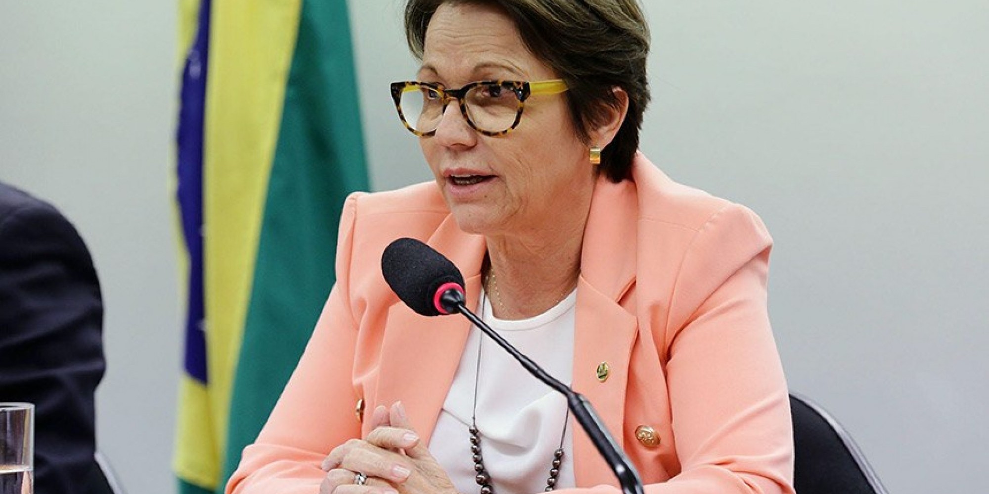 Ministra Tereza Cristina Ministra Tereza Cristina