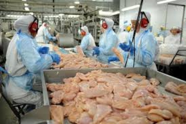 Número é 14,9% superior ao registrado no mesmo período que em 2019 