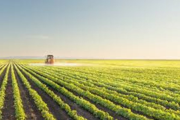 Um dos capítulos do livro mostra como a tecnologia transformou a agropecuária brasileira em um modelo de sucesso