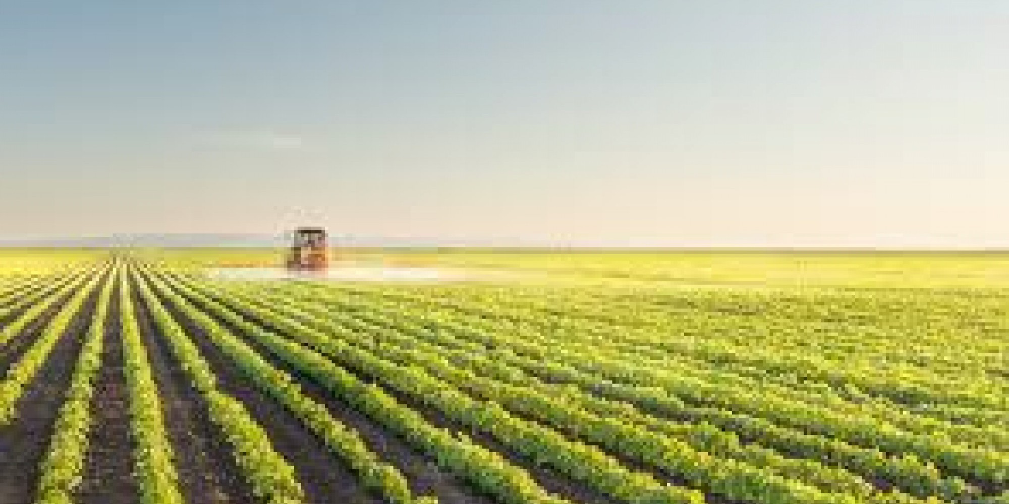 Um dos capítulos do livro mostra como a tecnologia transformou a agropecuária brasileira em um modelo de sucesso Um dos capítulos do livro mostra como a tecnologia transformou a agropecuária brasileira em um modelo de sucesso