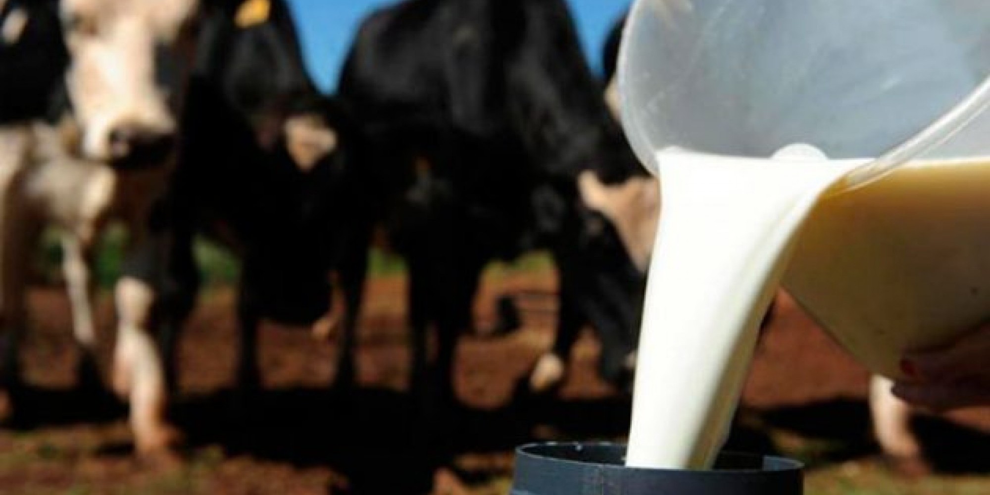 O setor leiteiro é uma das prioridades do Ministério da Agricultura, Pecuária e Abastecimento O setor leiteiro é uma das prioridades do Ministério da Agricultura, Pecuária e Abastecimento