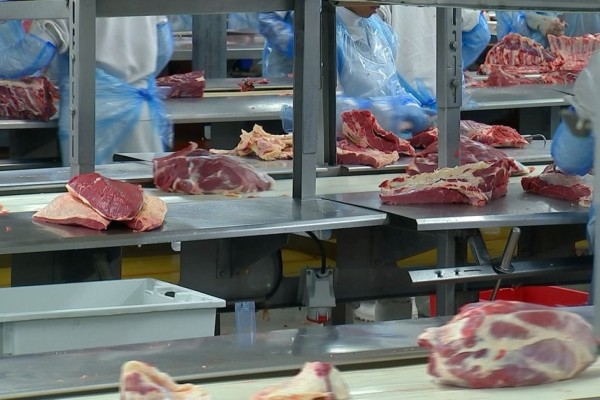 Informações fazem parte do boletim Indicadores do Agronegócio do Rio Grande do Sul, divulgado na manhã desta quarta-feira