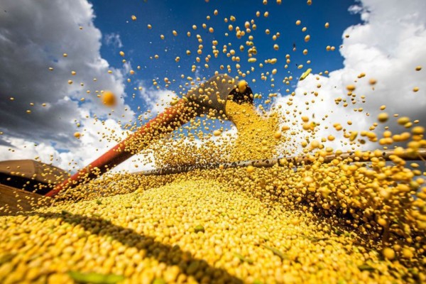 Produção de grãos chegará a 390 milhões de toneladas em 10 anos, diz Ministério da Agricultura