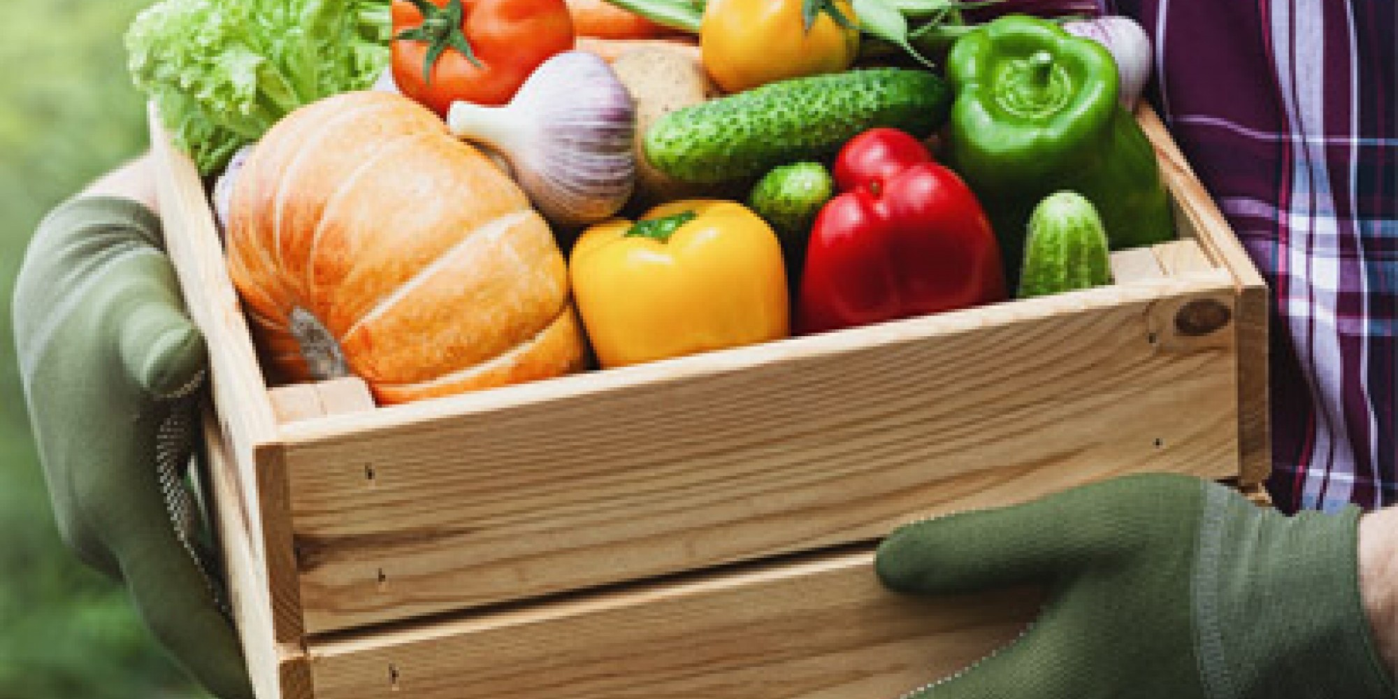 Soja, milho trigo, arroz e feijão são as culturas mais consumidas Soja, milho trigo, arroz e feijão são as culturas mais consumidas
