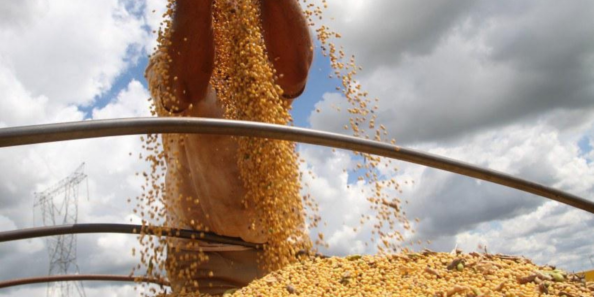 Produtor está satisfeito com a produtividade e com os preços praticados Produtor está satisfeito com a produtividade e com os preços praticados