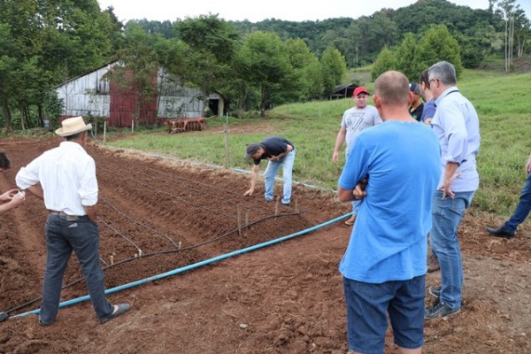 No RS o programa destinará mais de R$ 900 mil para 245 agricultores de 137 municípios