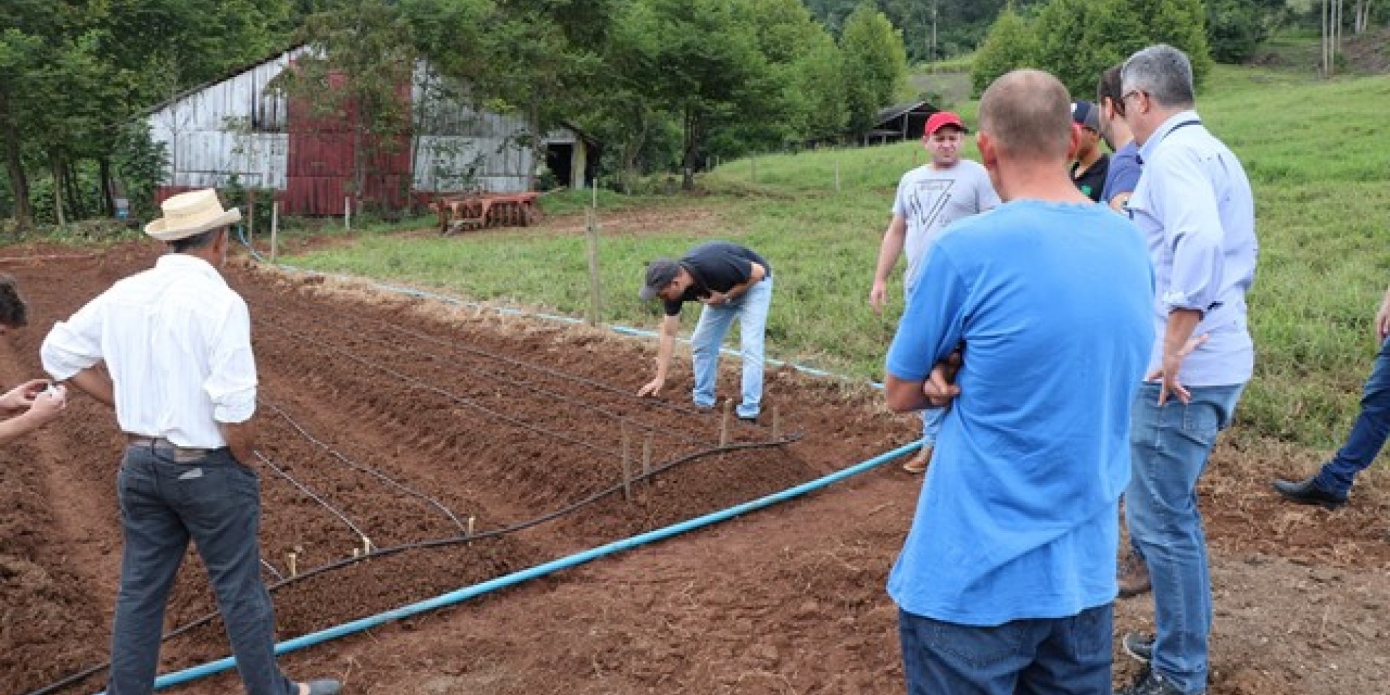 No RS o programa destinará mais de R$ 900 mil para 245 agricultores de 137 municípios No RS o programa destinará mais de R$ 900 mil para 245 agricultores de 137 municípios