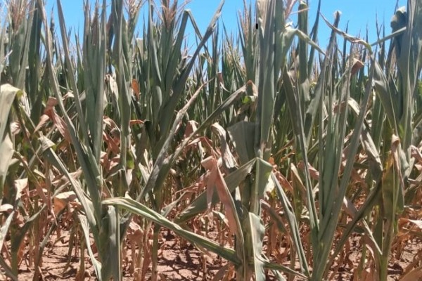 Vespasiano Corrêa decreta racionamento ao uso não doméstico de água