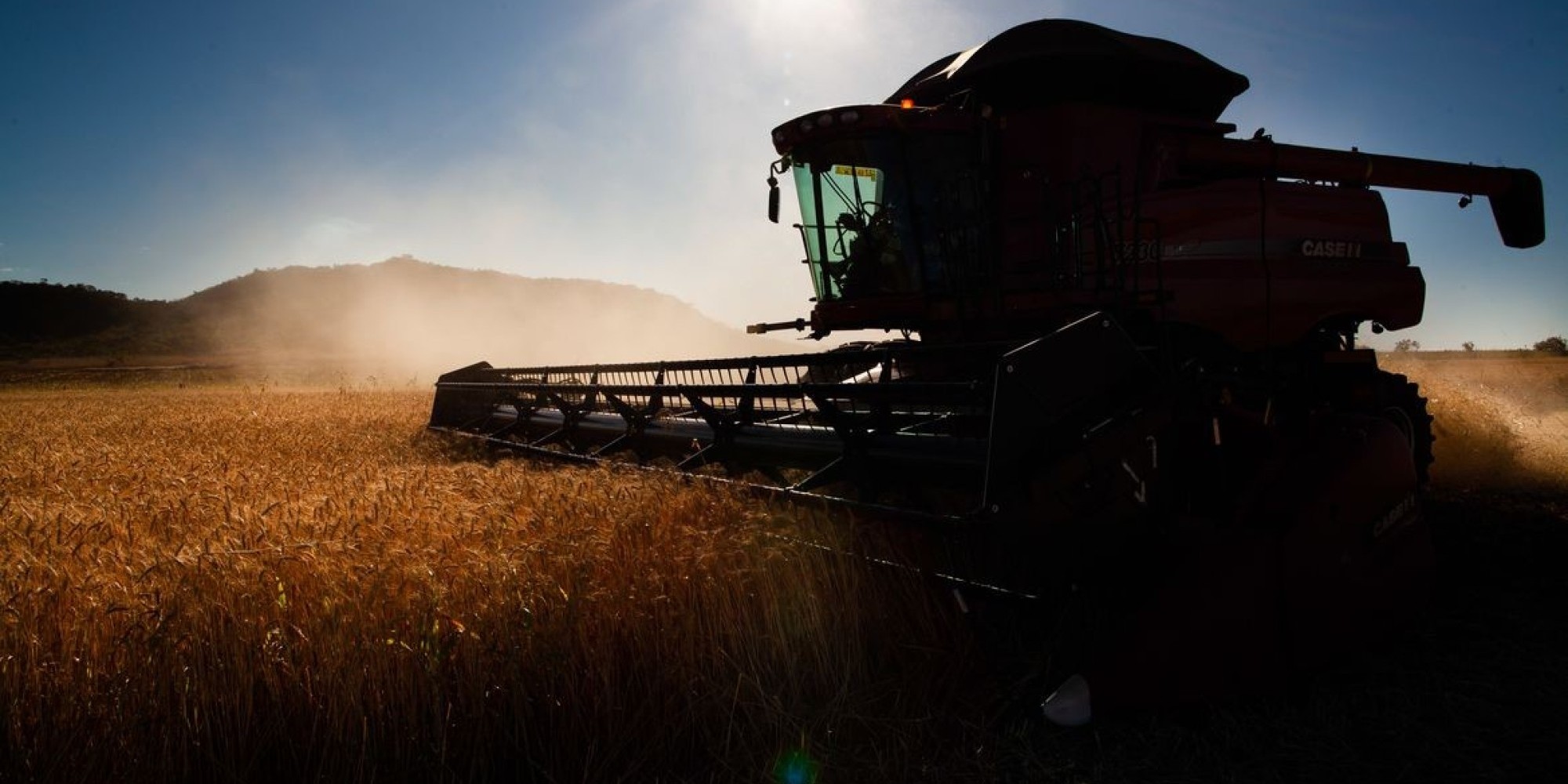 O Ministério da Fazenda divulgou ajustes em programas de concessão de crédito rural