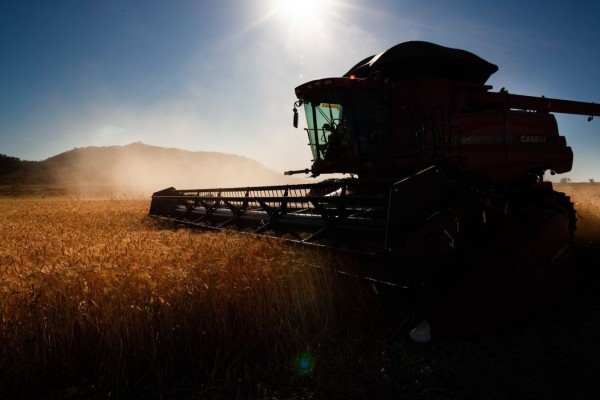 O Ministério da Fazenda divulgou ajustes em programas de concessão de crédito rural