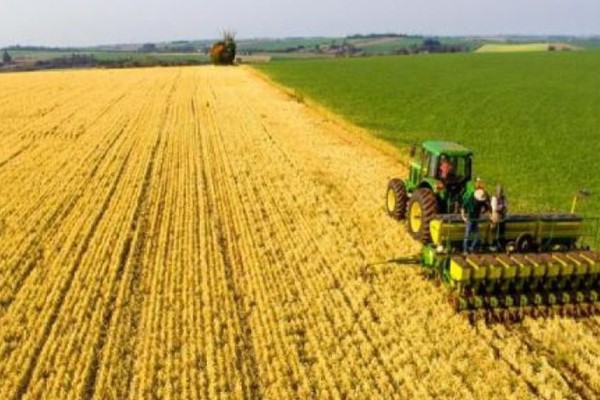 Rio Grande do Sul deve aumentar em 28,4% a produção de grãos 